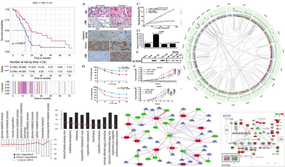 生物信息学分析#生信分析#生信数据分析#基础医学研究指导#实