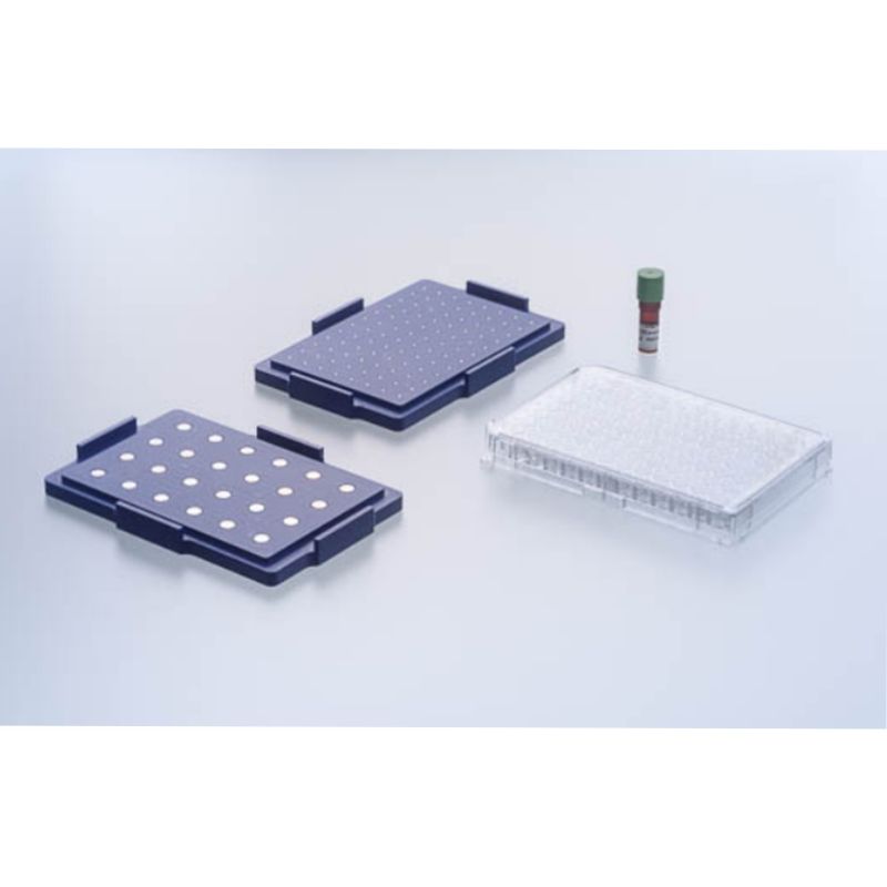 96孔透明微孔板