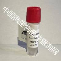 恶臭假单胞菌bio-53189	  