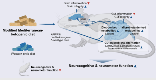 生物信息学分析 生物信息学分析