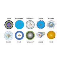 负载大黄素（EMO）的Ｎ-乙酰半乳糖胺-PLGA-ｄ-α-生育酚PEG1000琥珀酸酯NP纳米粒