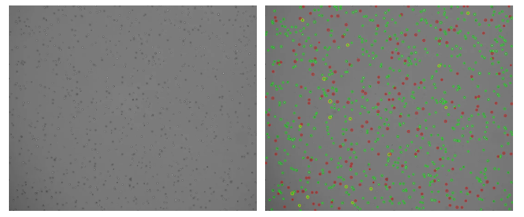 智能荧光细胞计数仪上市,抢先体验高效精准实验新工具!