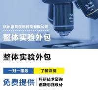 医学实验#动物实验#细胞实验#分子实验#纳米转化医学#课题思路设计#数据分析