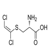 DCVC (S-[(1E)-1,2-dichloroethenyl]--L-cysteine)