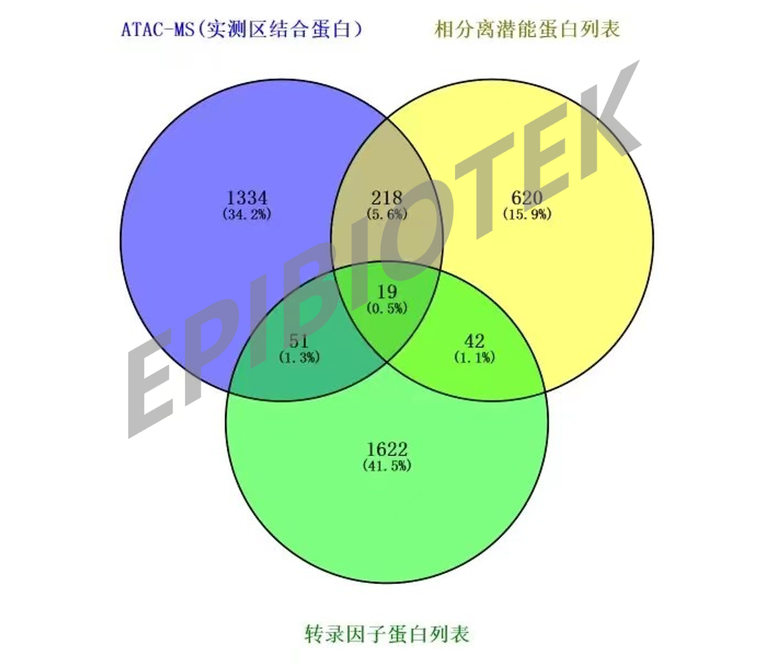 产品细节图片2