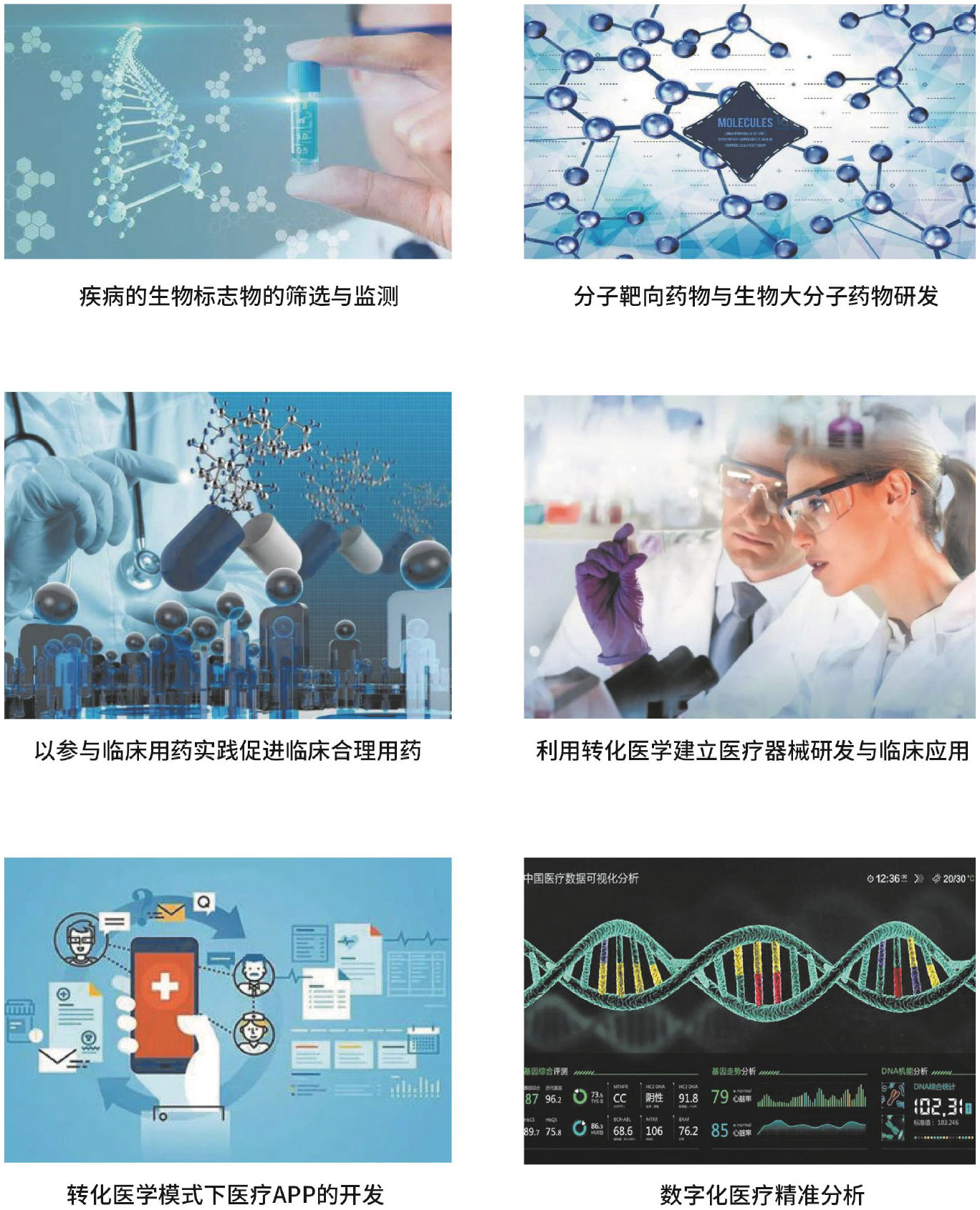 医学实验#动物实验#细胞实验#分子实验#纳米转化医学#课题思