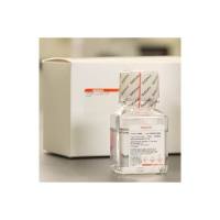 Sigma 11191-100ML/11191-6X100ML Histopaque®-1119