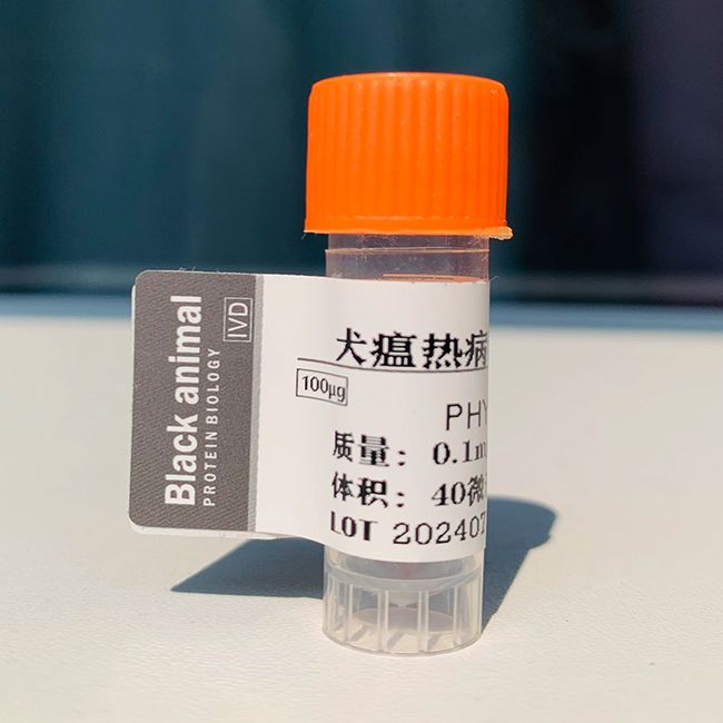 100μg，犬瘟热病毒蛋白 CDV-Ag，CDV抗原，CDV病毒蛋白