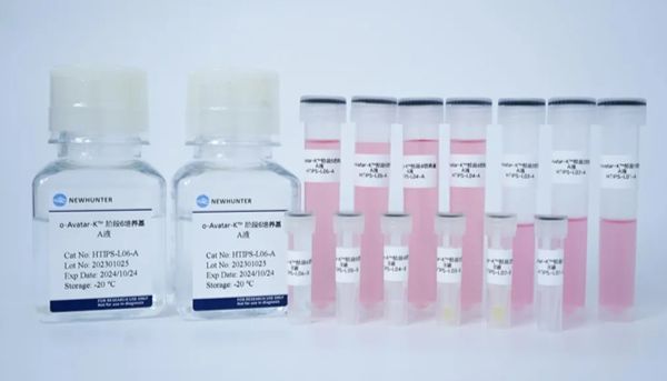 2款新品发布丨hiPSC诱导分化的环特全脑类器官、肺类器官试剂盒又双叒叕上新啦！