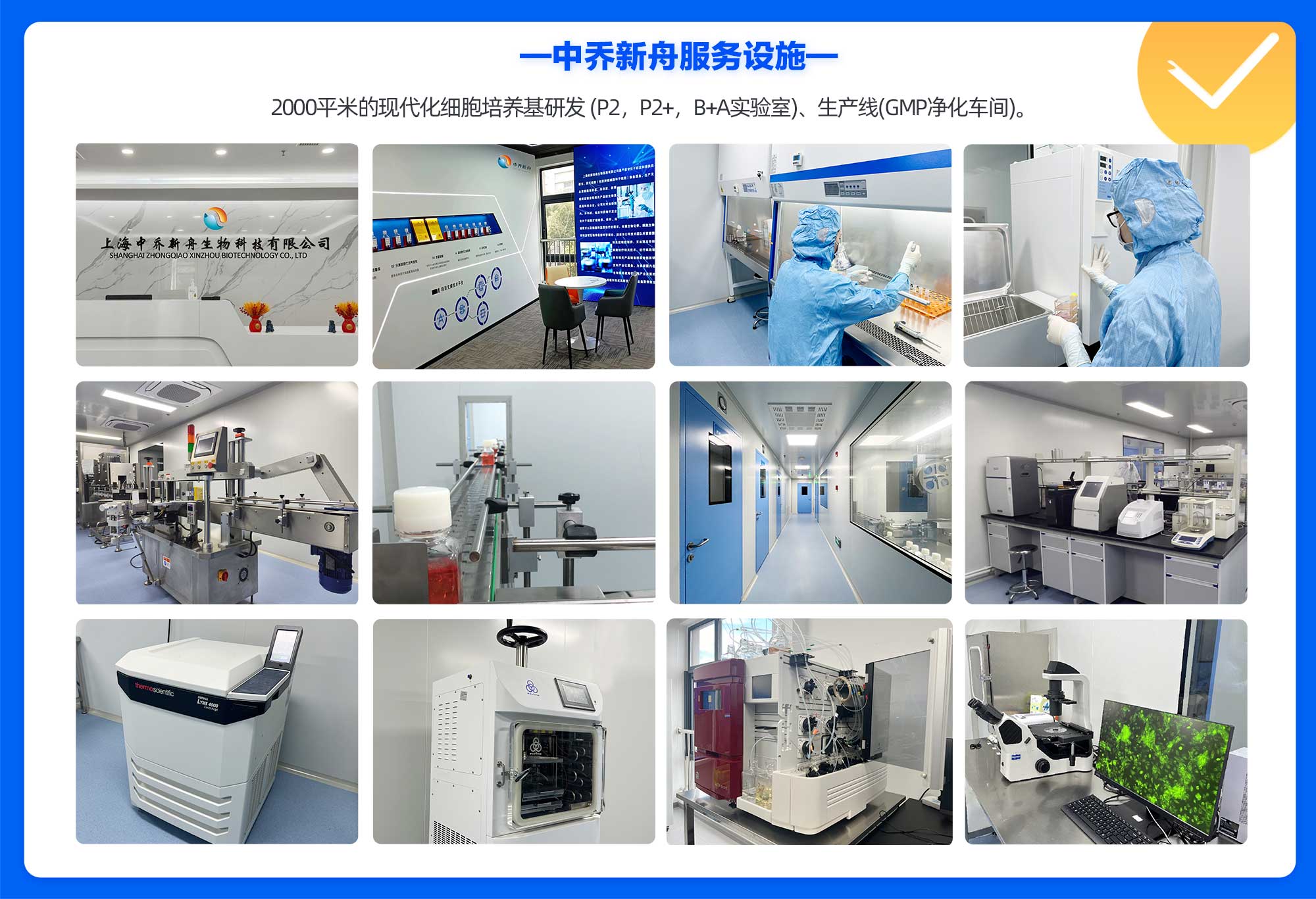 人脐静脉内皮细胞HUVEC-可提供伦理（细胞+500ml专培