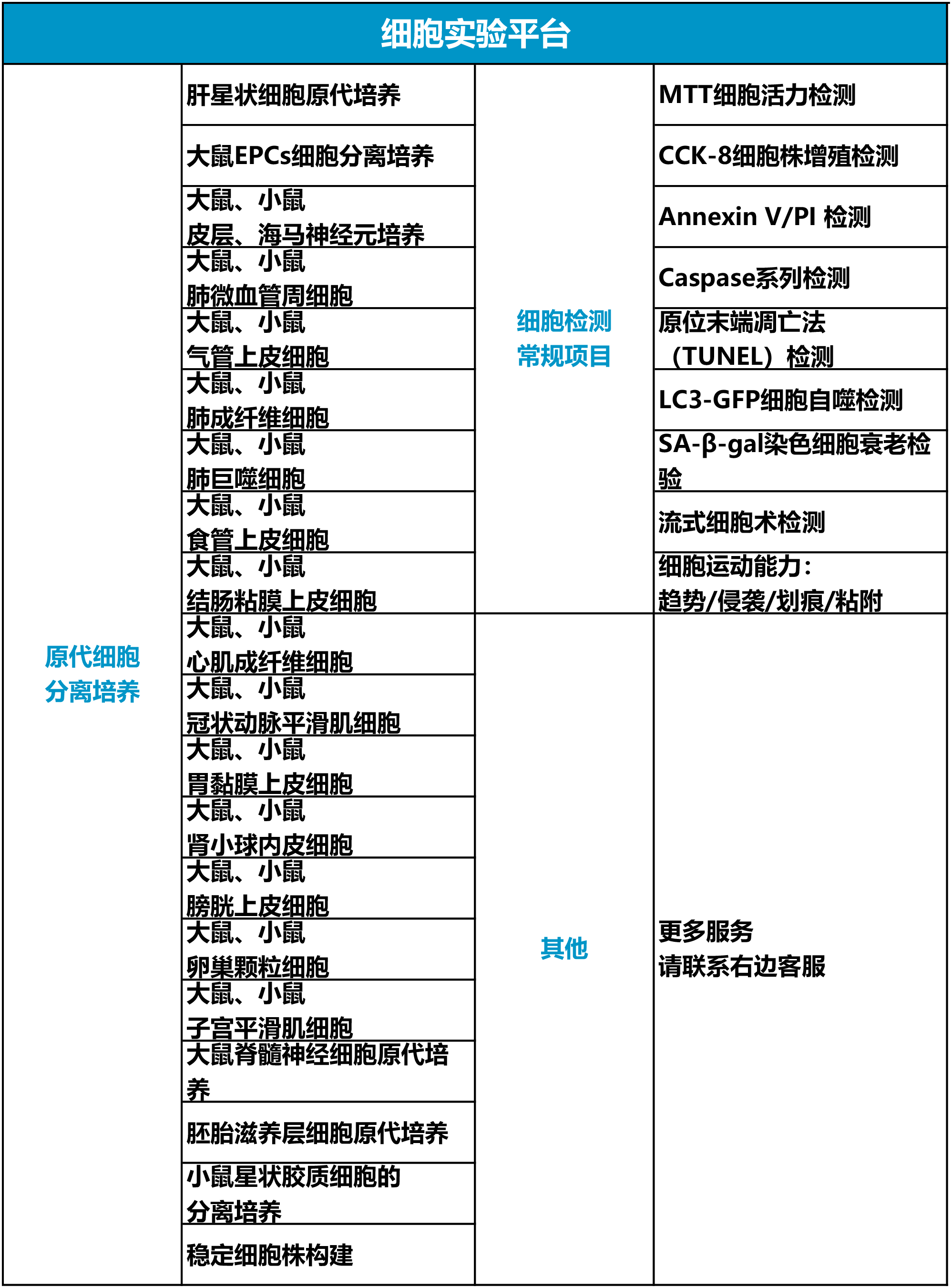 原代细胞分离培养#稳定细胞株构建
