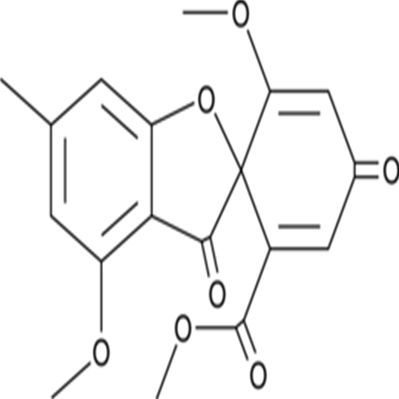 Trypacidin