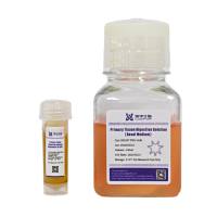 骆华  LH2307-TDS-100/LH2307-TDS-500  原代组织解离液