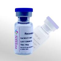 Wissen 重组人转化生长因子 TGF-β1 CT-807C 10ug