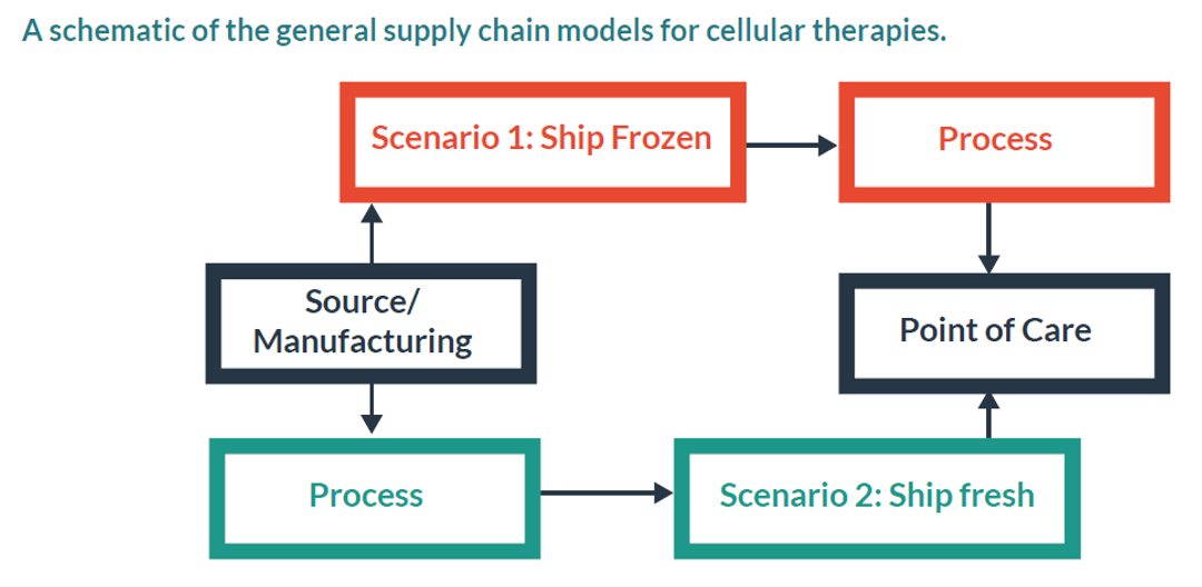细胞治疗制剂的两种应用场景：冻存制剂VS新鲜制剂