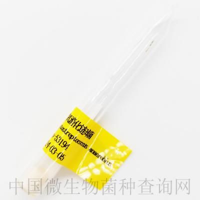 厌氧消化链球菌	  