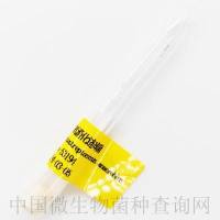 厌氧消化链球菌	  