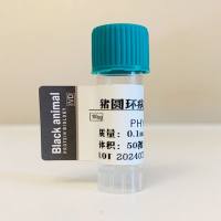 猪圆环病毒3型Cap蛋白,猪圆环3型抗原,猪圆环病毒蛋白