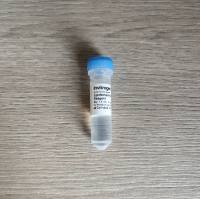 ThermoFisher 脂质体2000转染试剂 11668019