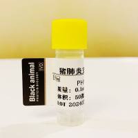 猪肺炎支原体P76病毒蛋白,猪肺炎支原体,猪肺炎支原体(Mhp),M. hyopneumoniae