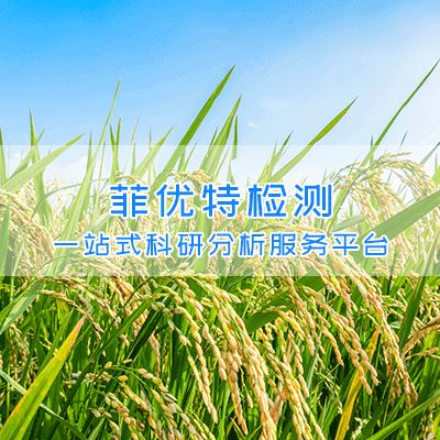 植物酚酸含量检测|植物酚酸组分检测