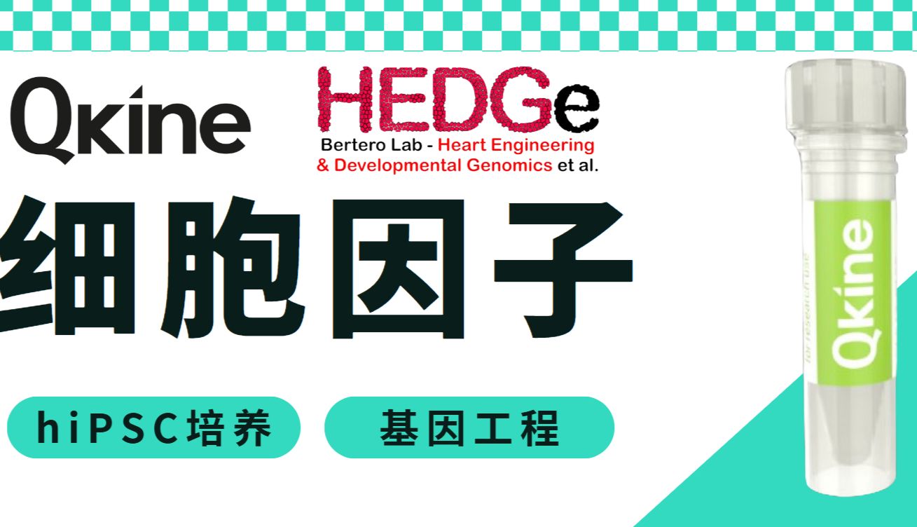 Qkine细胞因子：助您实现经济有效的hiPSC培养和基因工程_曼博生物