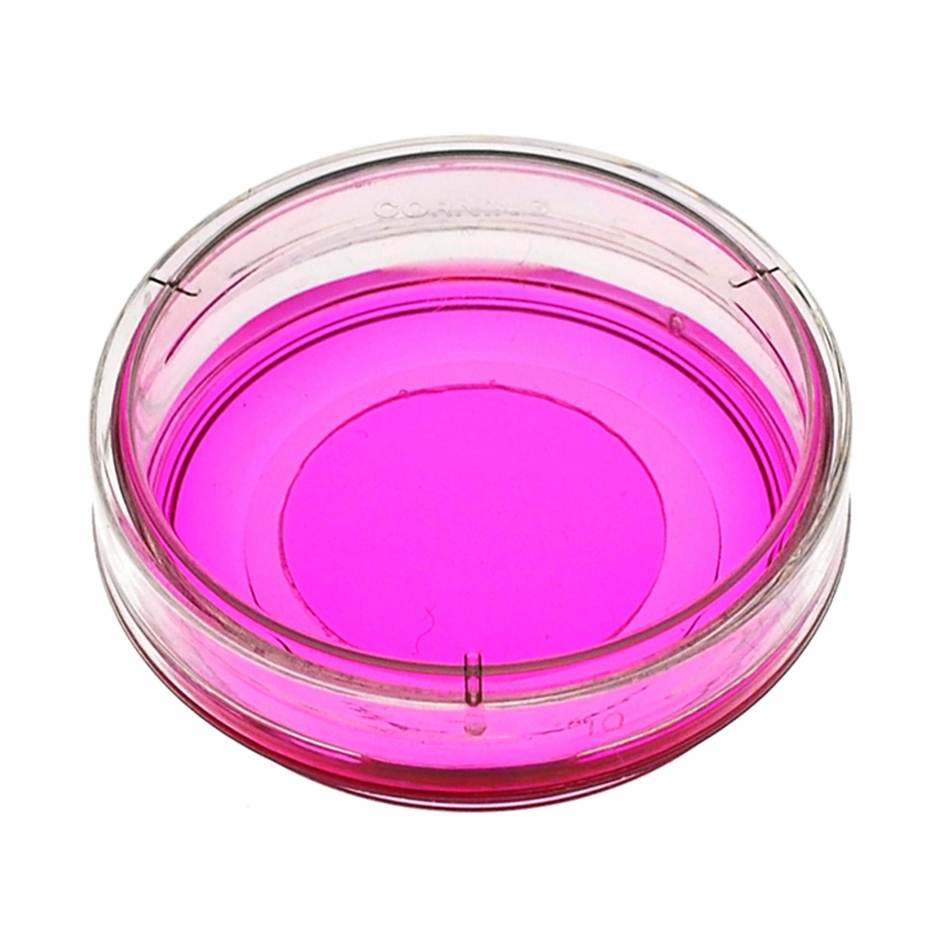 MatTek P35GCOL-1.5-14-C 35mm Dish No.1.5Coverslip 14mmGlassDiameter