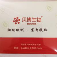 叶绿体蛋白/胞质蛋白提取试剂盒