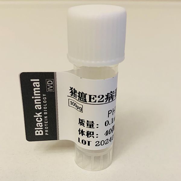 100μg 经典猪瘟E2真核蛋白；经典猪瘟E0真核蛋白；经典猪瘟抗原