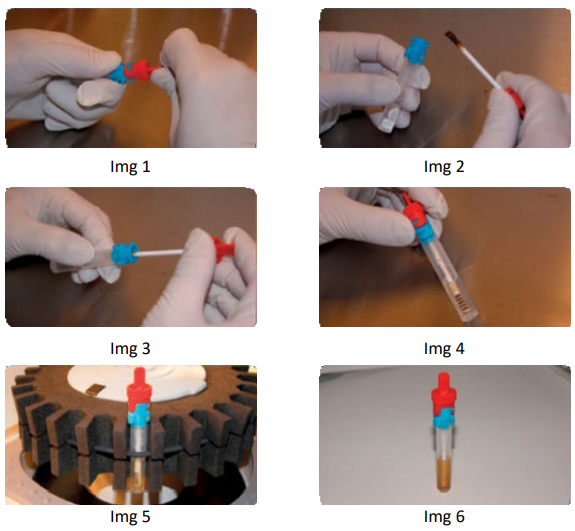 Svar Life Science-Easy Extract正在促销