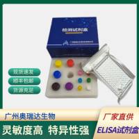 大鼠基质金属蛋白酶9/明胶酶B(MMP-9/GelatinaseB)ELISA检测试剂盒