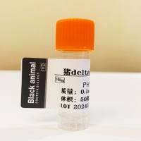 猪delta冠状病毒N蛋白，猪德尔塔冠状病毒蛋白（Porcine deltacoronavirus,PDCoV）原核表达