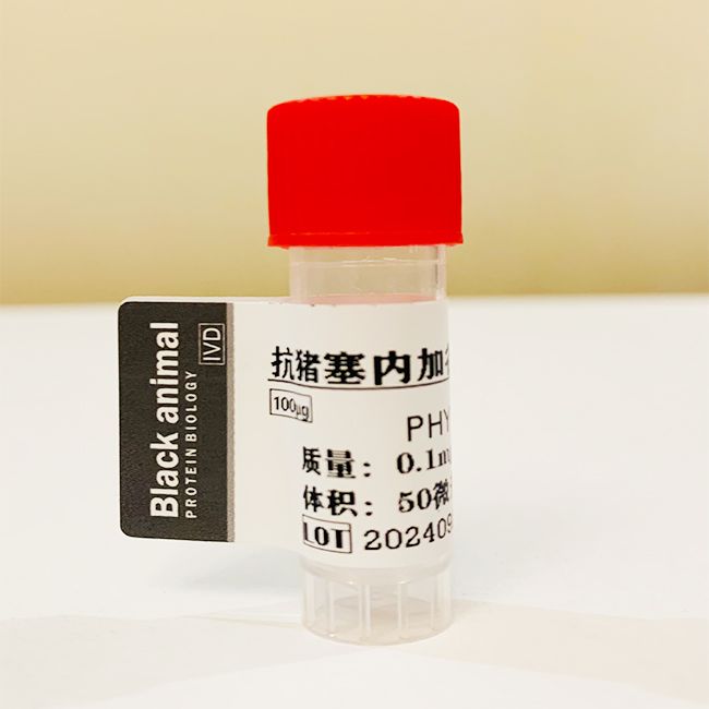 500μg 猪塞内加谷(SVA)病毒蛋白;猪塞内加谷病毒VP1蛋白;猪塞内加谷病毒VP2蛋白;猪塞内加谷抗原;猪SVA抗原