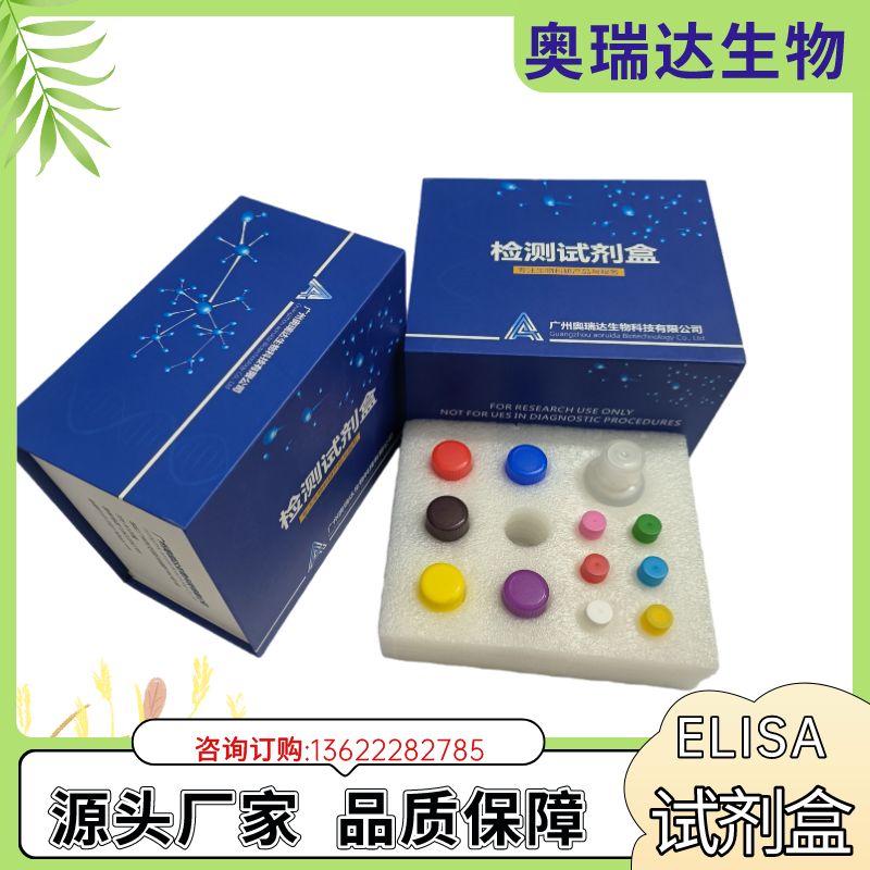 大鼠可溶性细胞间粘附分子1（sICAM-1）ELISA检测试剂盒