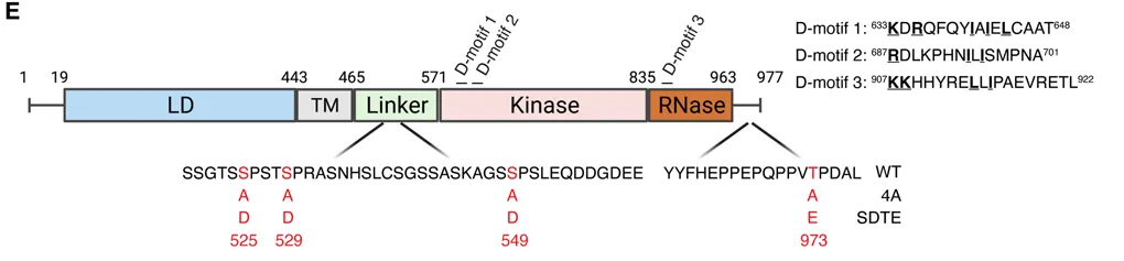 技术资料图片15