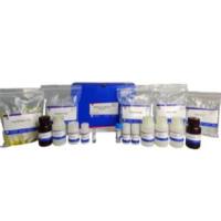 SPINeasy™土壤RNA提取试剂盒