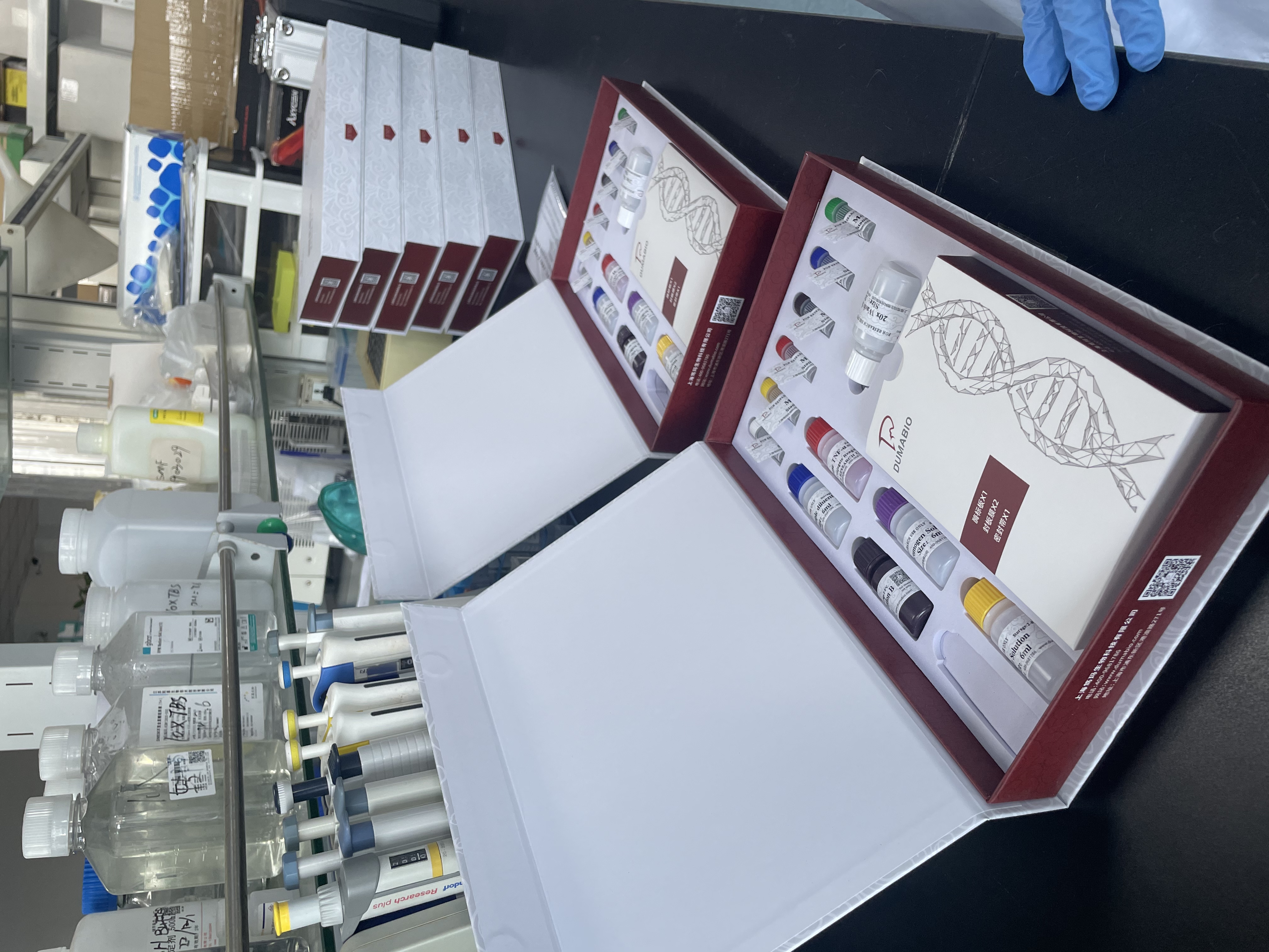 鸡胰岛素样生长因子结合蛋白7(IGFBP-7)ELISA试剂