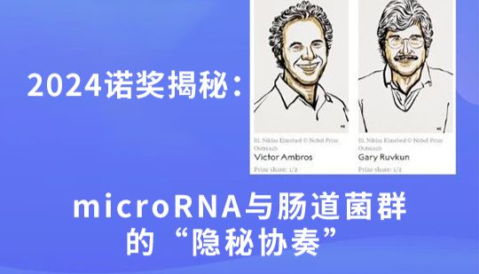 2024诺奖揭秘：microRNA与肠道菌群的“隐秘协奏”