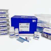 (MPure-32™)血样基因组DNA提取试剂盒（磁珠法）