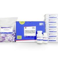 (MPure-32™)微生物基因组DNA提取试剂盒(磁珠法）