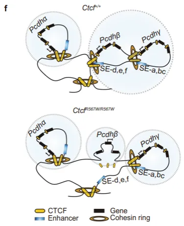技术资料图片12