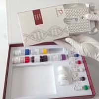 鸡早老素1(PS1)ELISA试剂盒