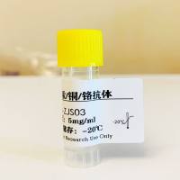 重金属铬-BSA(OVA）偶联抗原，Chromium（Cr）抗原，铬抗原，铬抗体