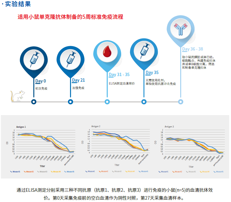 FastAb水溶性佐剂