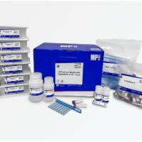 (MPure-32™)粪便基因组DNA提取试剂盒（磁珠法）