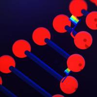 金霉素-BSA(OVA）偶联抗原,金霉素抗原，Chlortetracycline