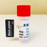 500μg 多菌灵单克隆抗体;Carbendazim(CBD)抗体;多菌灵抗体;多菌灵-BSA(OVA)偶联抗原;多菌灵抗原