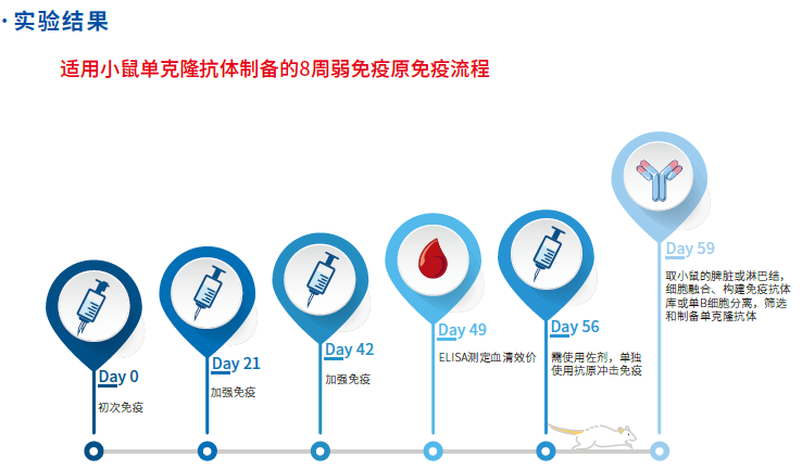 FastAb水溶性佐剂