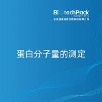 蛋白分子量的测定-百泰派克生物科技