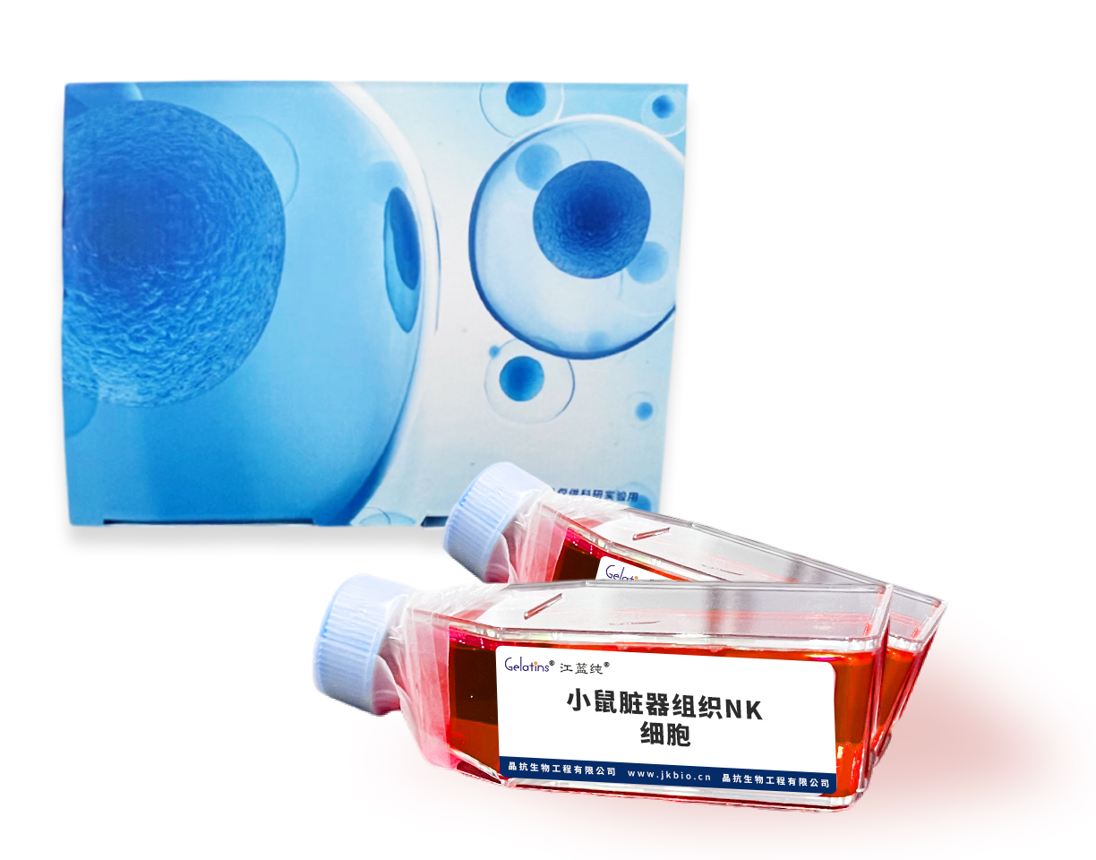 小鼠脏器组织NK细胞